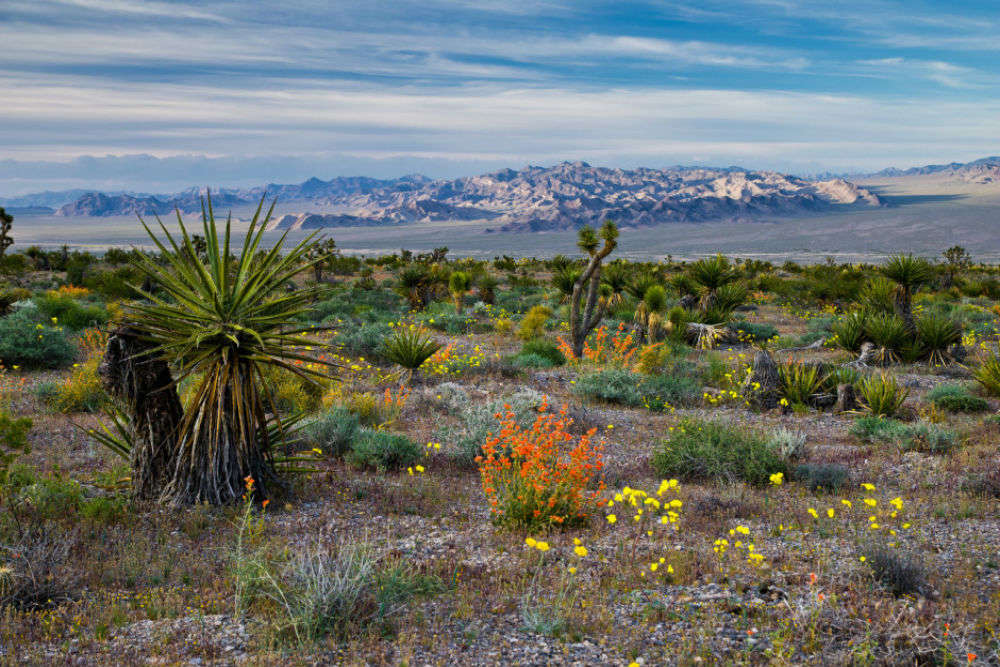 Historic Landscape Of Nevada  13 Epic Landscapes That Define Nevada 