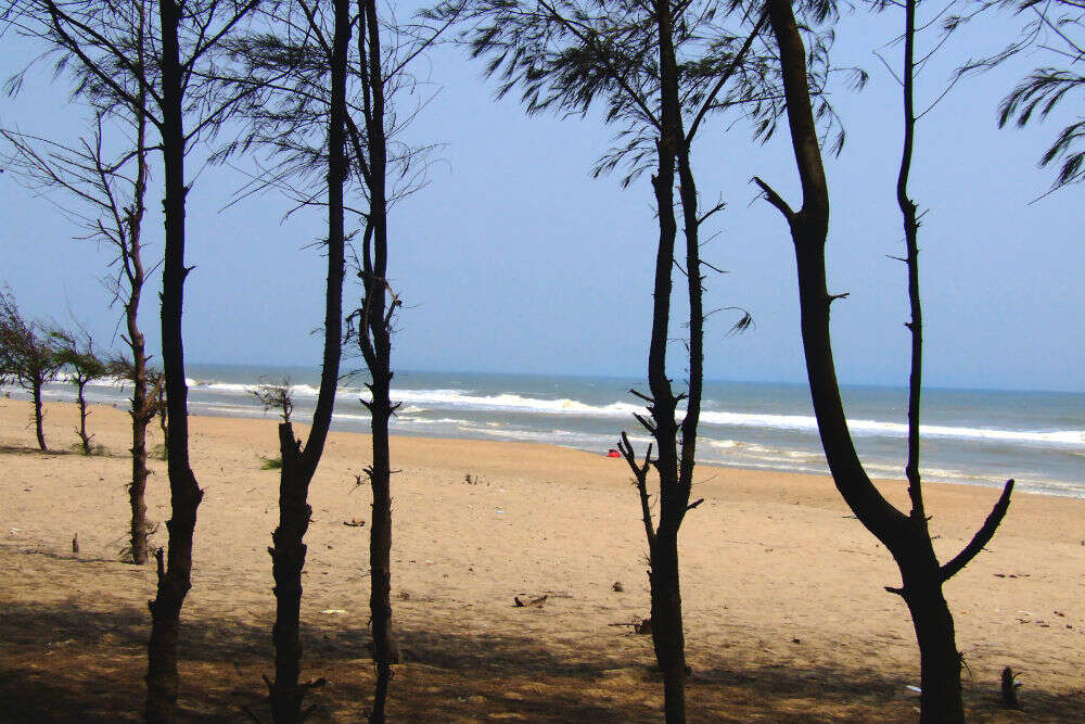 Paradip Beach, Orissa - TimesTravel