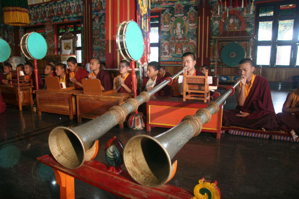 Buddhist monks in prayer