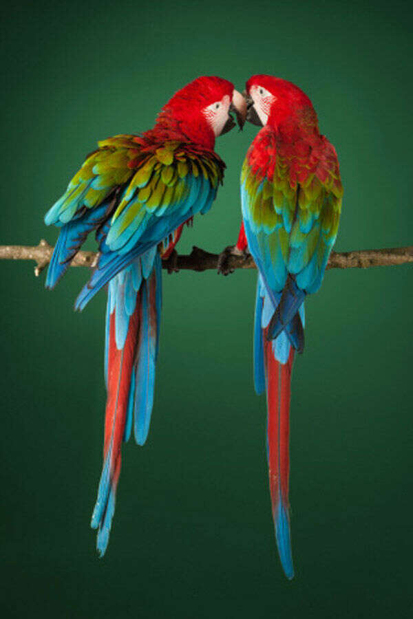 Picture package of the day