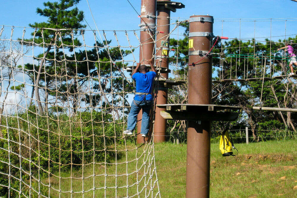 Tarzan Adventure Tarzan Adventure