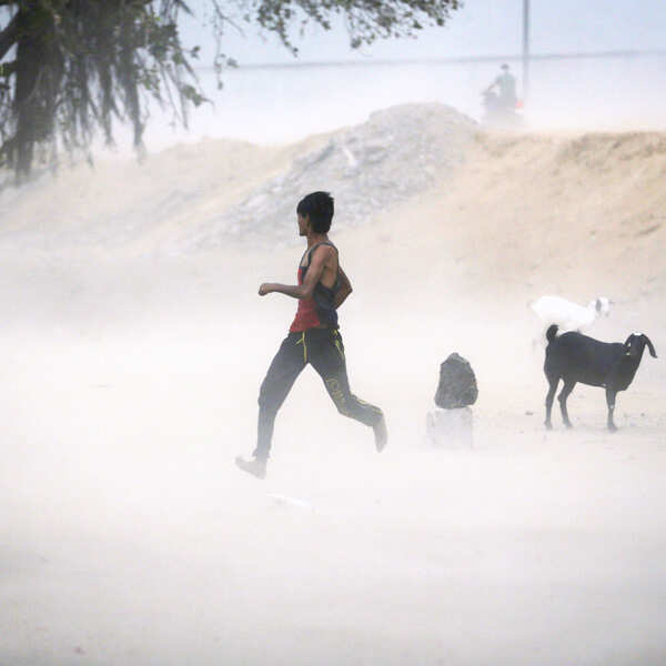 Picture package of the day