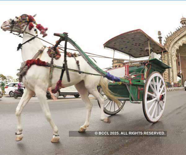 Kangana Ranaut was in Lucknow to promote her movie Tanu Weds Manu Returns. Photogallery Times of India