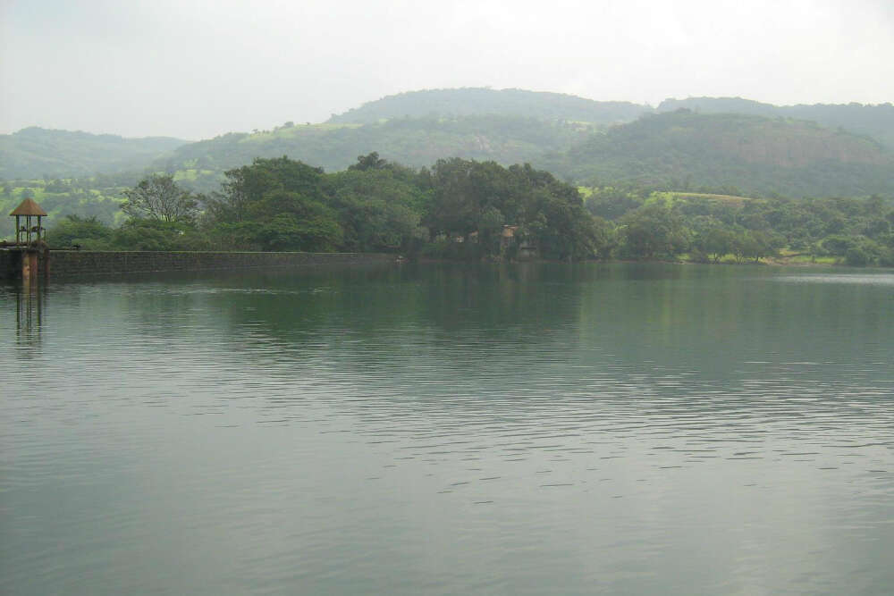 Bushy Dam bushy dam final file