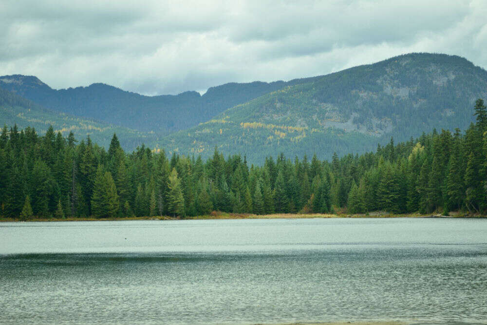 Hike, ski or search for the Lost Lake POI 2 (a)