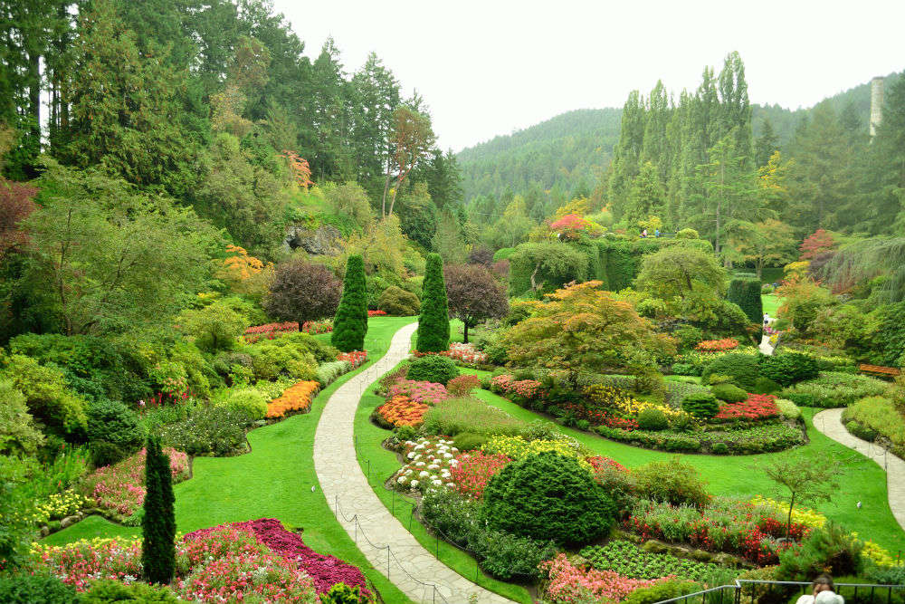 Butchart Gardens In Victoria Times Of India Travel
