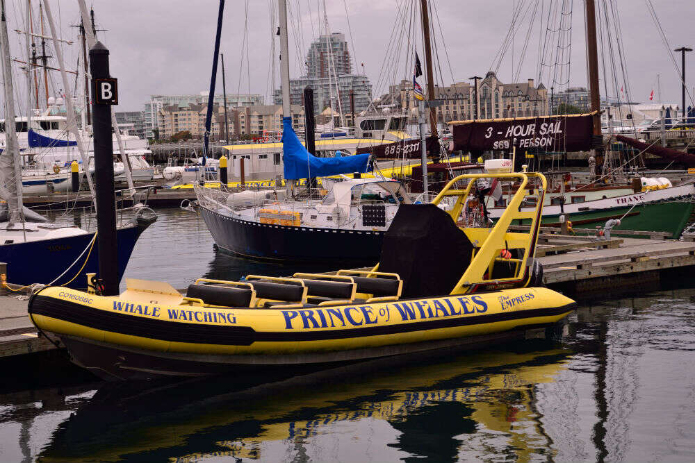 Go for a walk around the Inner Harbour POI 4