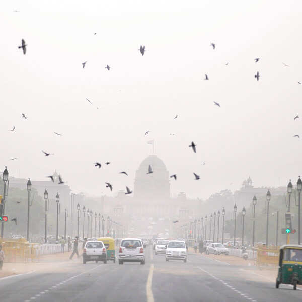 Pigeons fly over a traffic signal near the Indian Presidential Palace during a brief dust storm in New Delhi.  Photogallery at Times of India