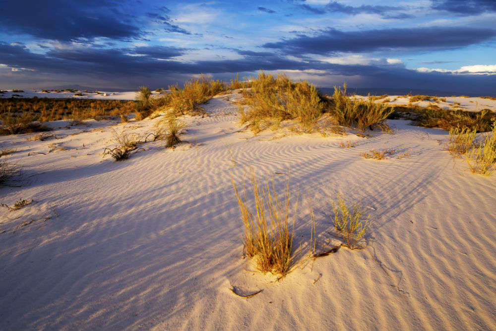 White Sands Desert in New Mexico | Times of India Travel