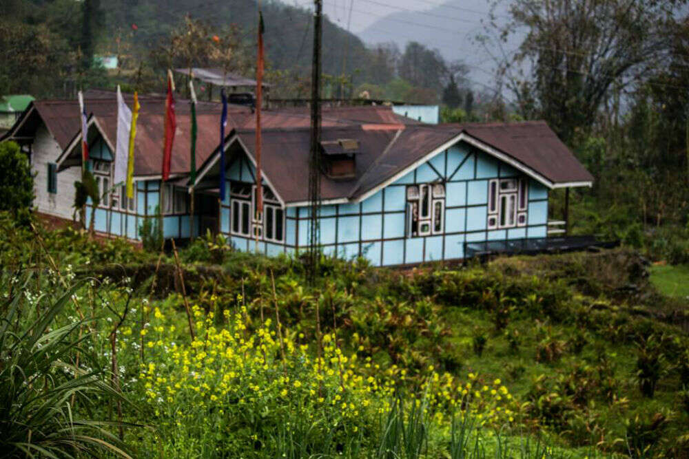 Dzongu Dzongu..