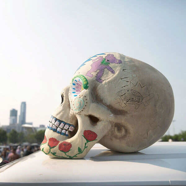 A model of a human skull sits on top of a van