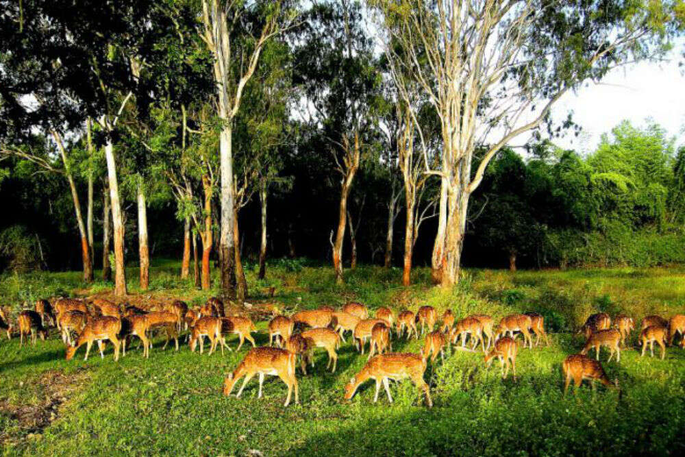 Wildlife sanctuary