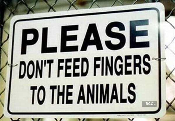 Funny Sign Boards Around The World