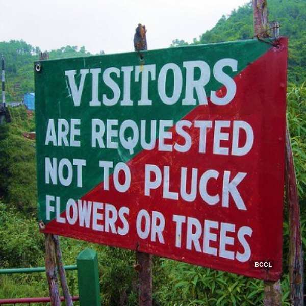 Funny Sign Boards Around The World