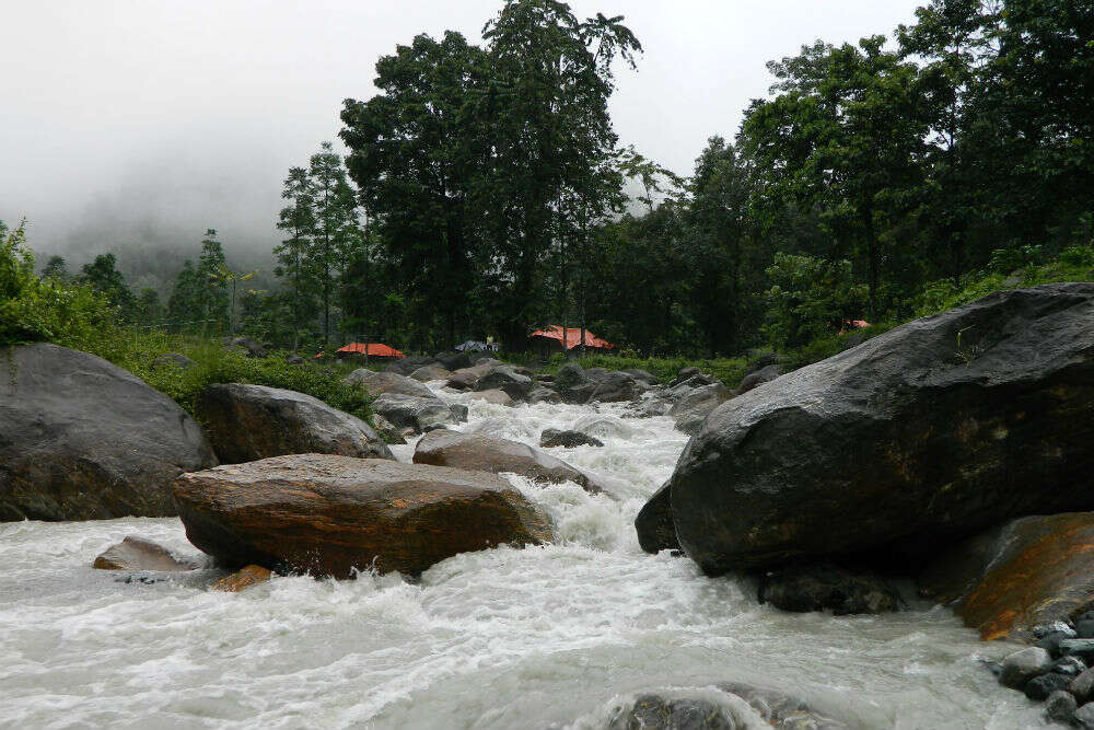 Jhalong @Dooars_2012  (1)
