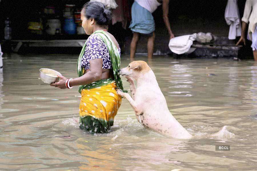 Heavy rains trigger floods in east, west India