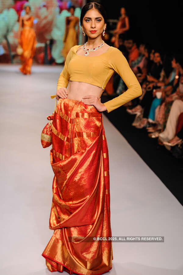 IIJW '15: Moni Agarwal