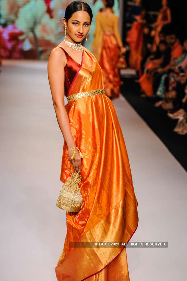 IIJW '15: Moni Agarwal