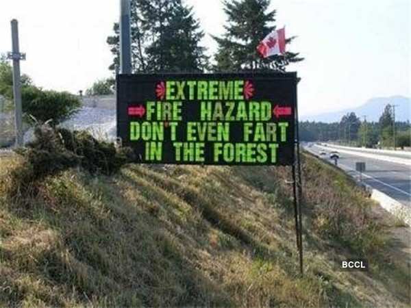 Did you know that fart could lit up a forest?
