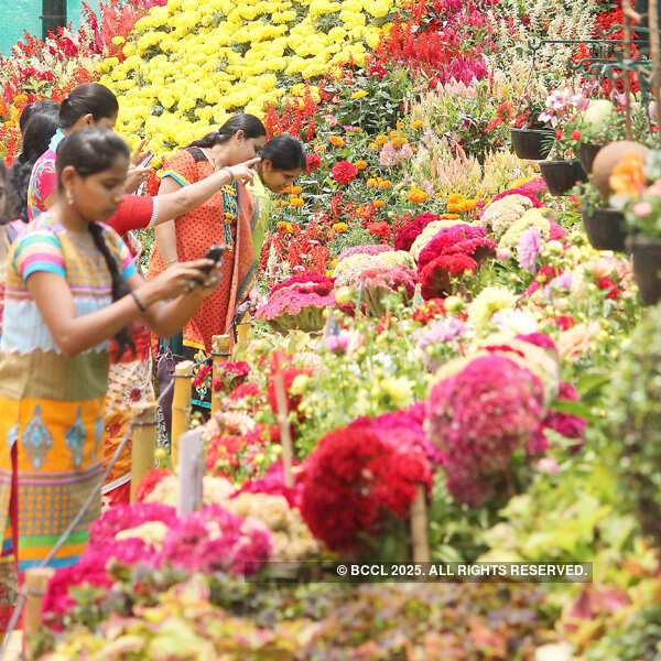 Flower lovers going through the colourful floral