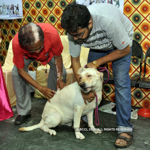 Dr. S N Saha with pet Jenny and Arpa