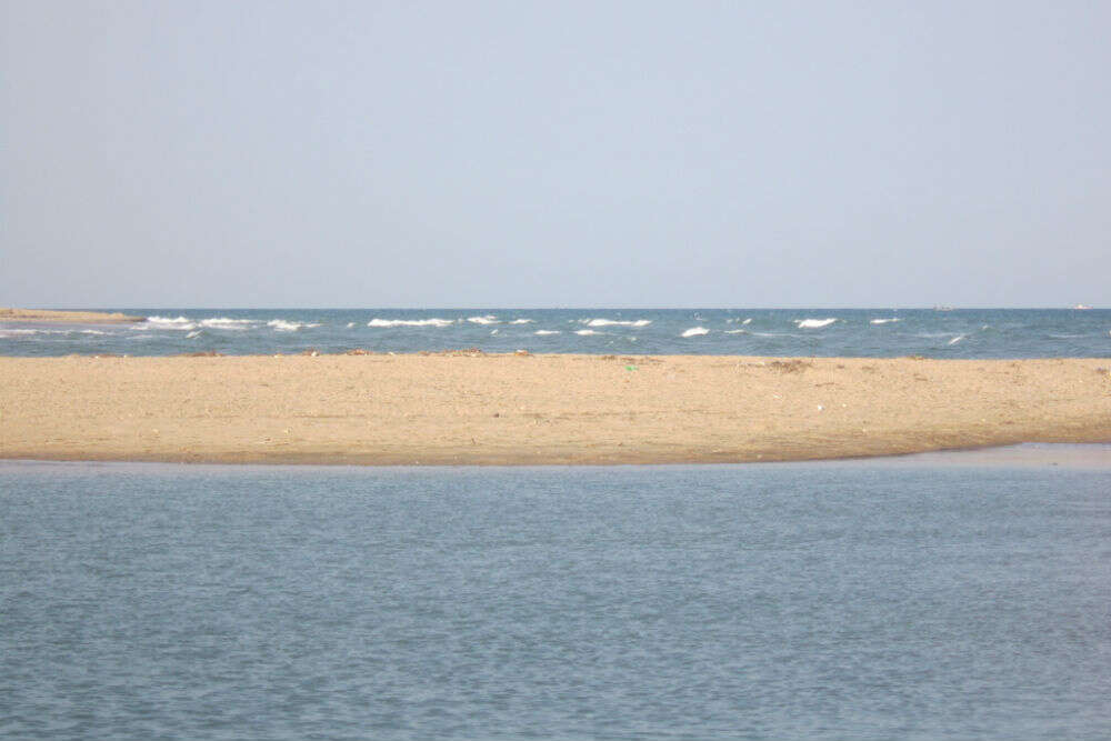 Paradise Beach Paradise Beach