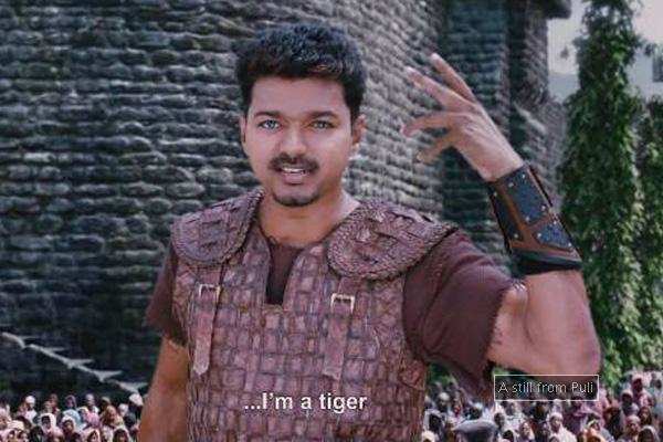 Puli: Things to look forward to
