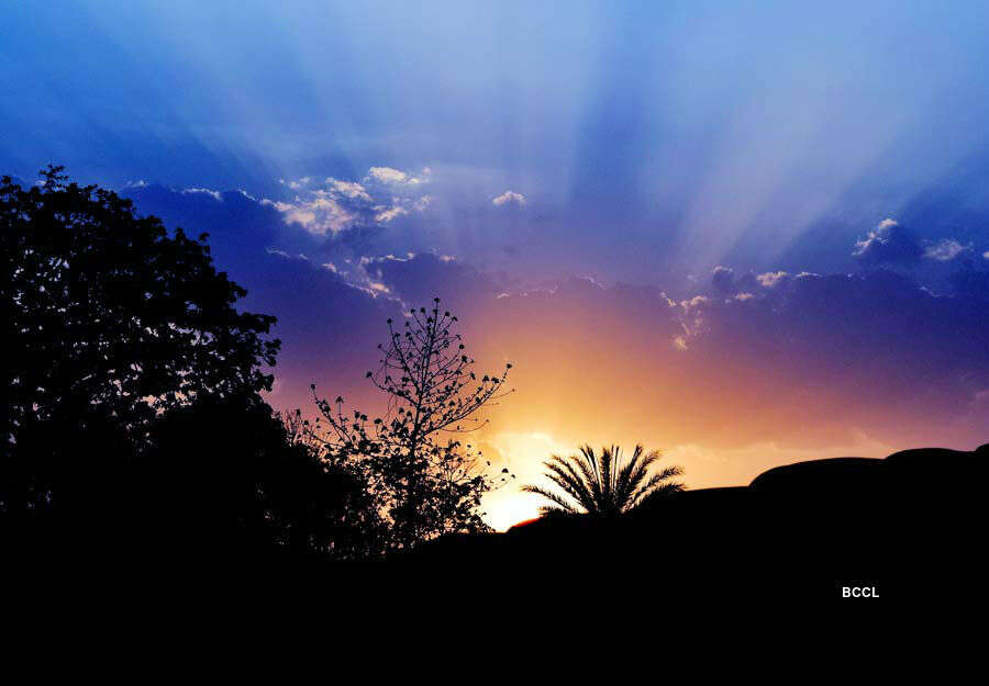 This photograph was clicked by Madhusikta Patel