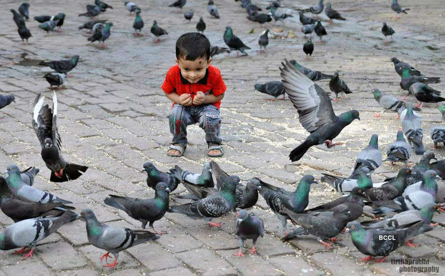 This photograph was clicked by Tirtha Pratim Purkait