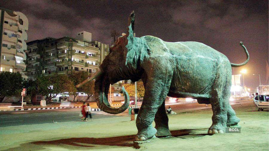 This photograph was clicked by Udayan Sankar Pal