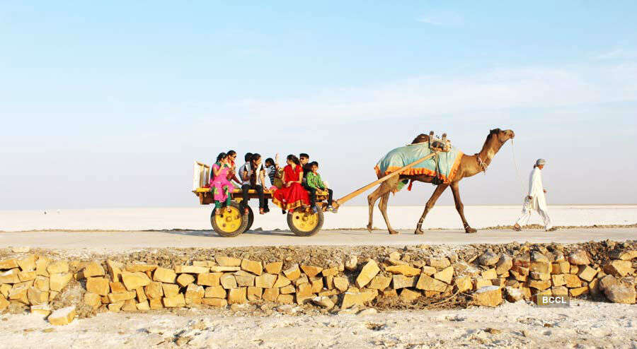 This photograph was clicked by Kush Shah