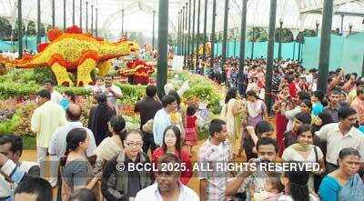 Ikebana flower exhib.