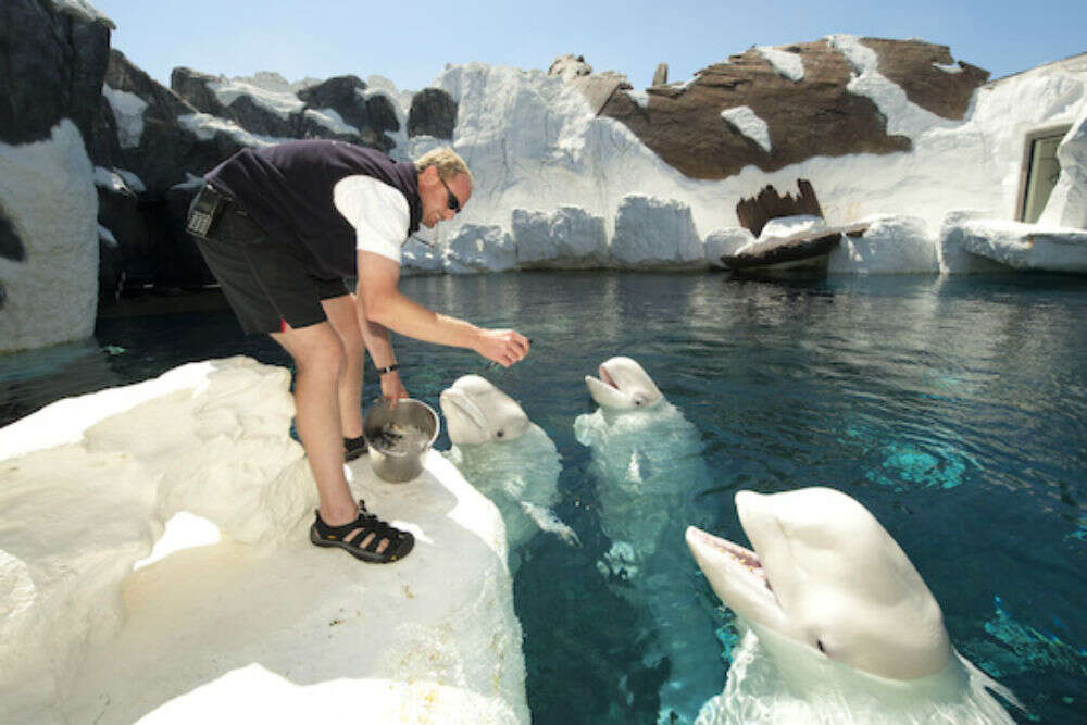 Seaworld SanDiego