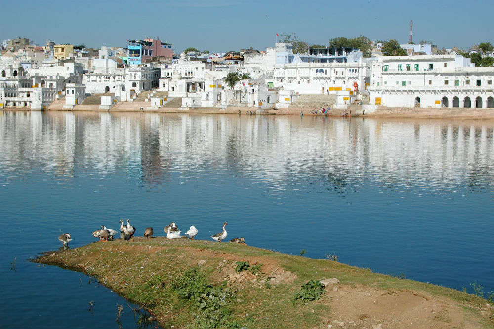 Things To Do In Pushkar | 12 Things You Must Do When In Pushkar | Times of  India Travel