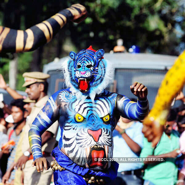 An artist with his body painted as tiger dances