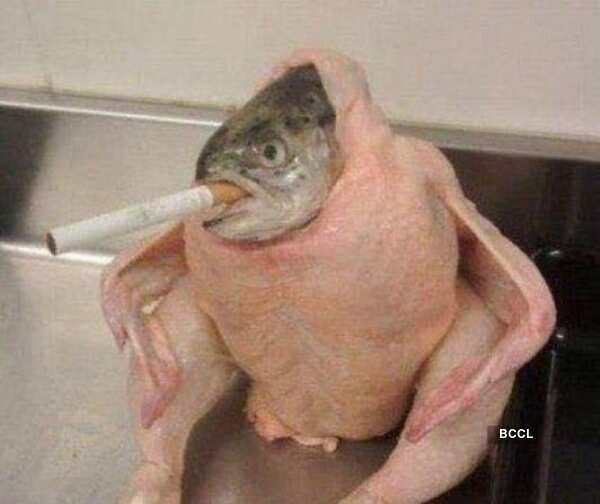 Smoking is injurious to health