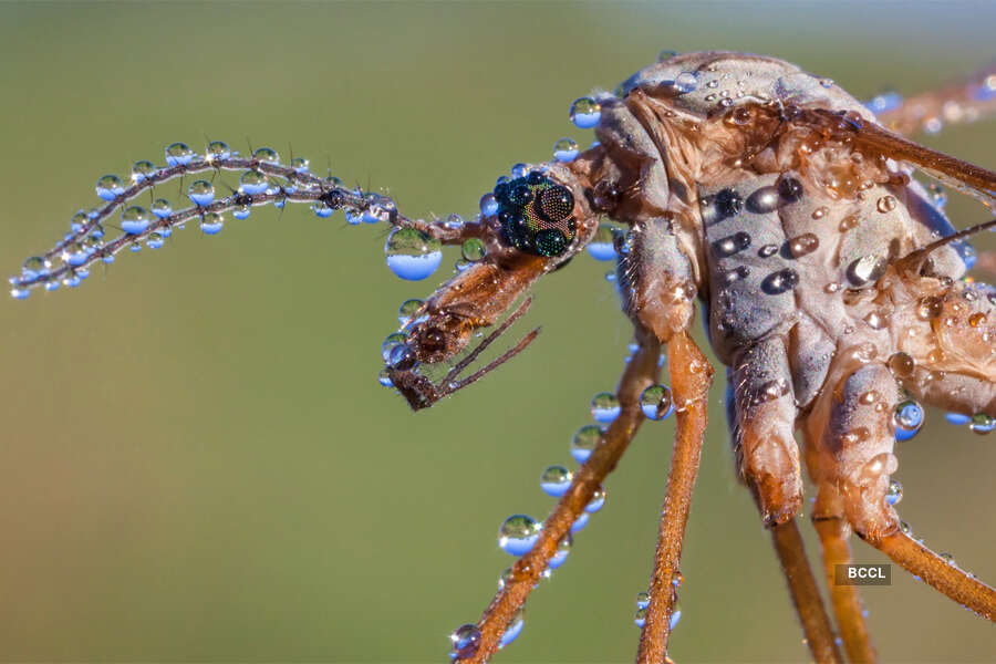Hidden Britain category: Alex Hyde