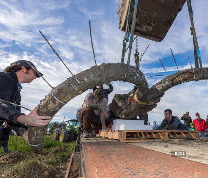 "When my 5-year-old grandson came over