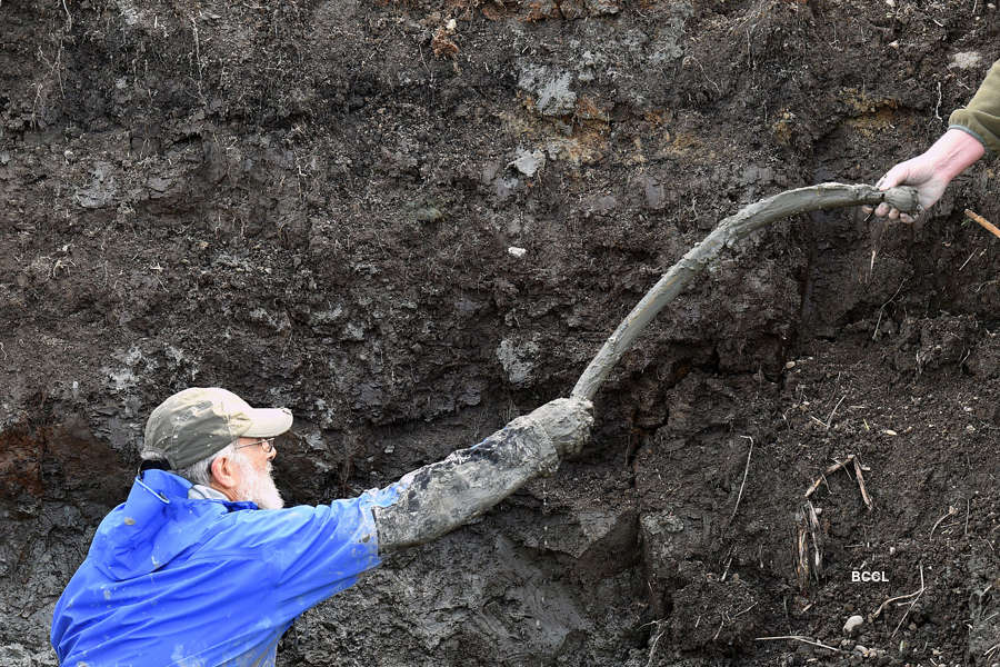 Farmer finds woolly mammoth bones