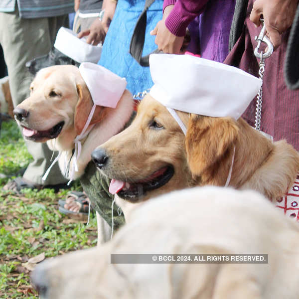 ‘Dog Marathon’ in Bengaluru