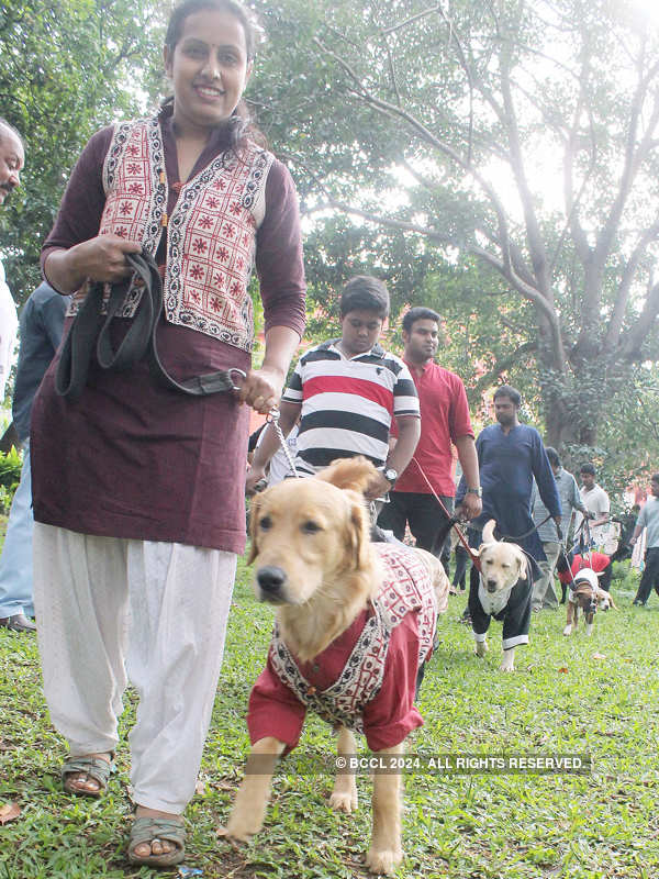 ‘Dog Marathon’ in Bengaluru