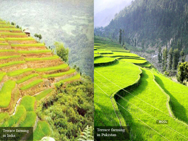 Similarities between India and Pakistan