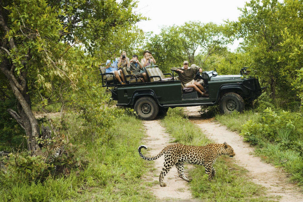Wildlife Parks In South Africa | National Parks In South Africa | Times of  India Travel