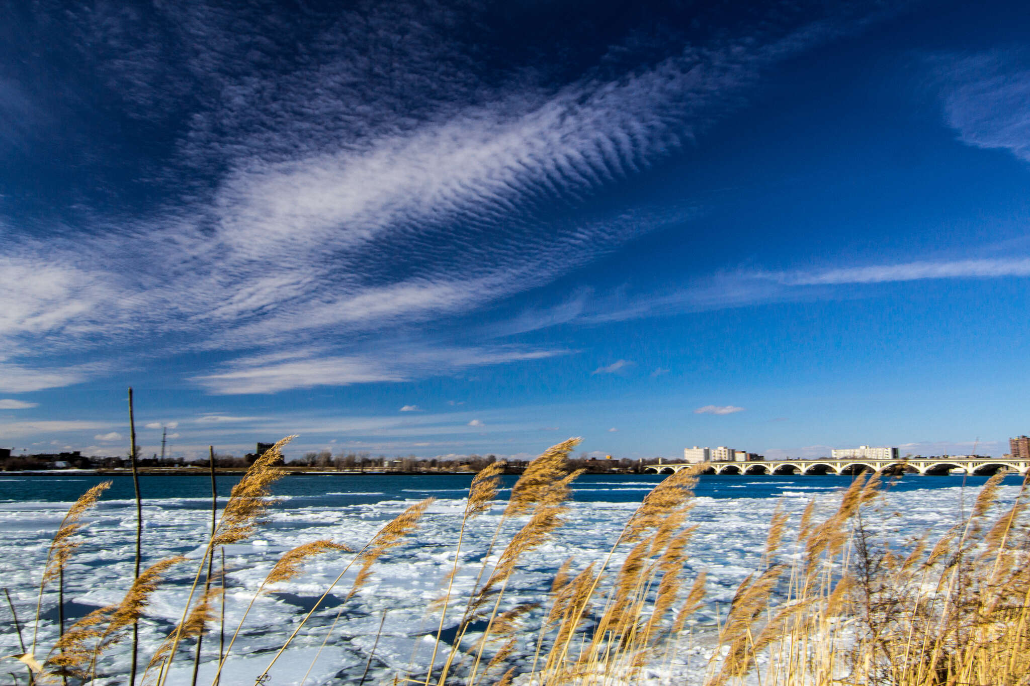 Belle Isle 13397230383_b4e535ef62_k