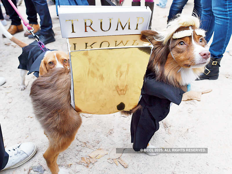 Halloween Dog Parade 2015