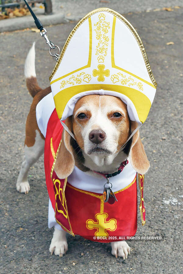 Halloween Dog Parade 2015