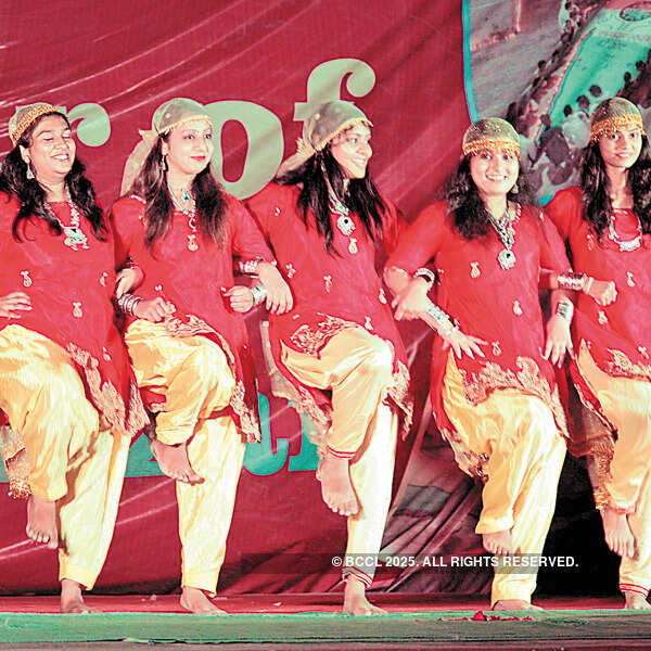 Cultural programme in the city