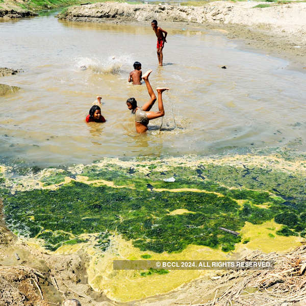 Chhath Puja in polluted Yamuna?