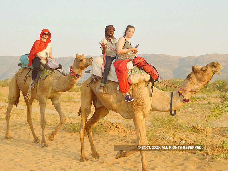 Pushkar Fair: Colourful delight