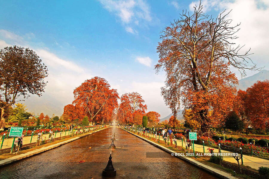 Kashmir: Paradise on Earth